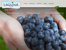 Tablet Screenshot of lagunaliquid.com